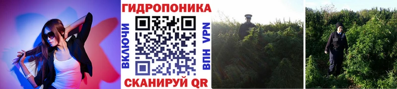 Где купить наркоту Чебаркуль А ПВП Бошки Шишки АМФ ГАШ Кокаин Мефедрон
