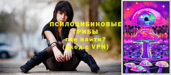 дмт Абаза