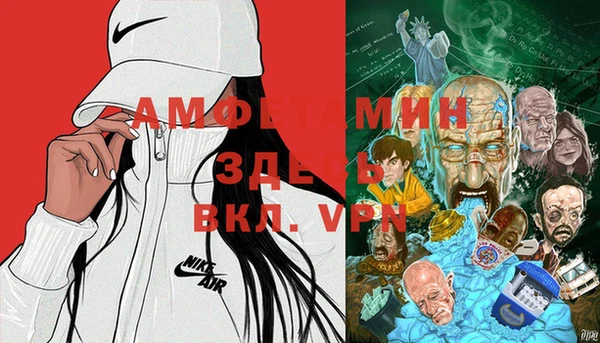 дмт Абаза