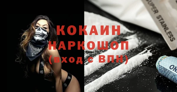 гидра Новодвинск