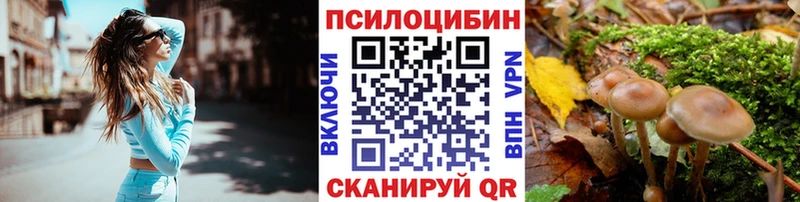 Галлюциногенные грибы Psilocybine cubensis  гидра маркетплейс  Чебаркуль  как найти  